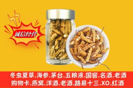 长治市武乡回收散虫草
