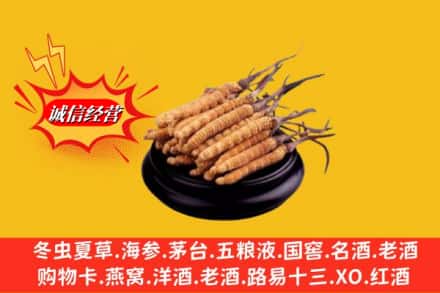长治市武乡求购回收虫草多少钱每克
